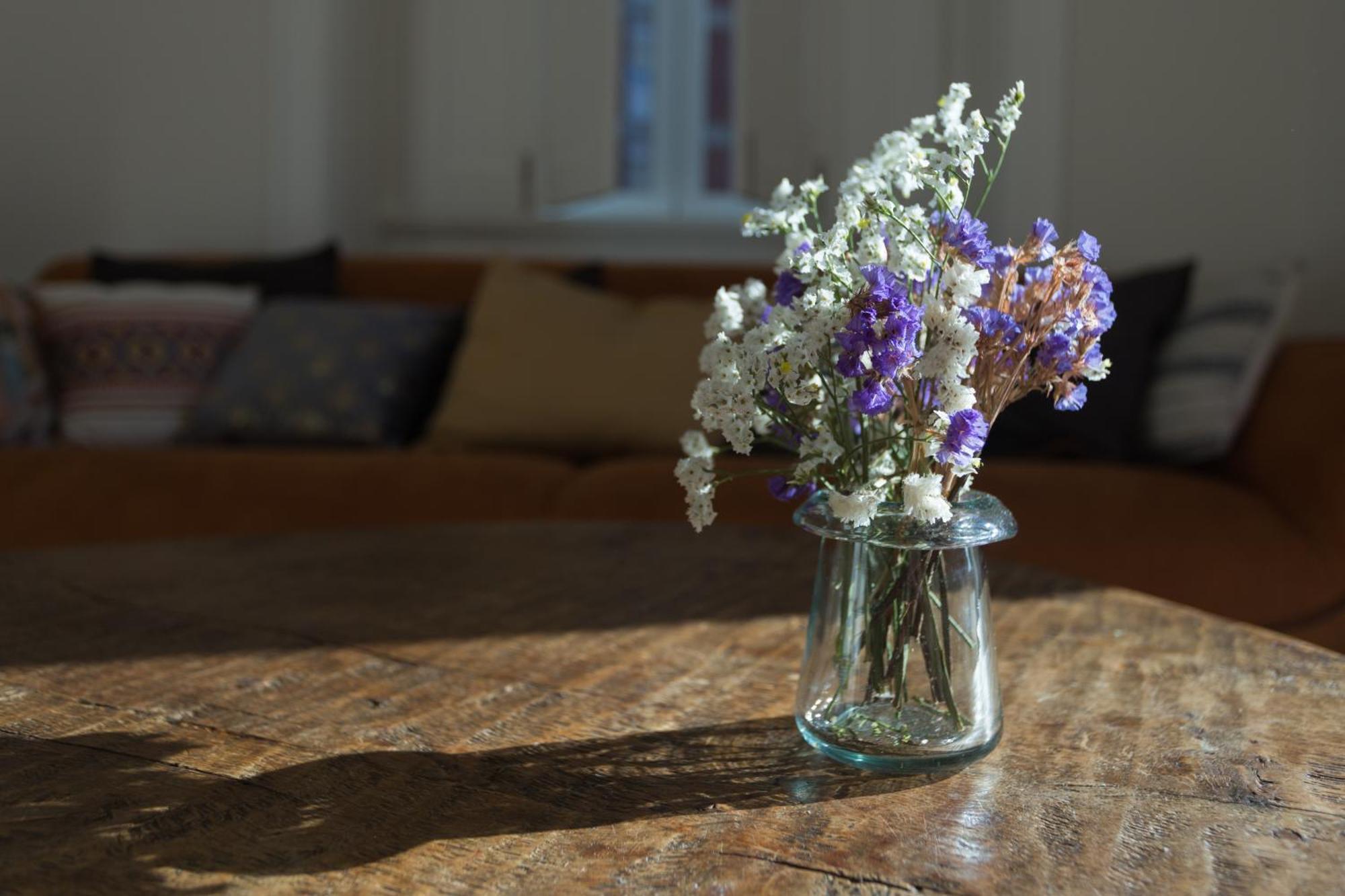 Vila Julieta Guesthouse コインブラ エクステリア 写真
